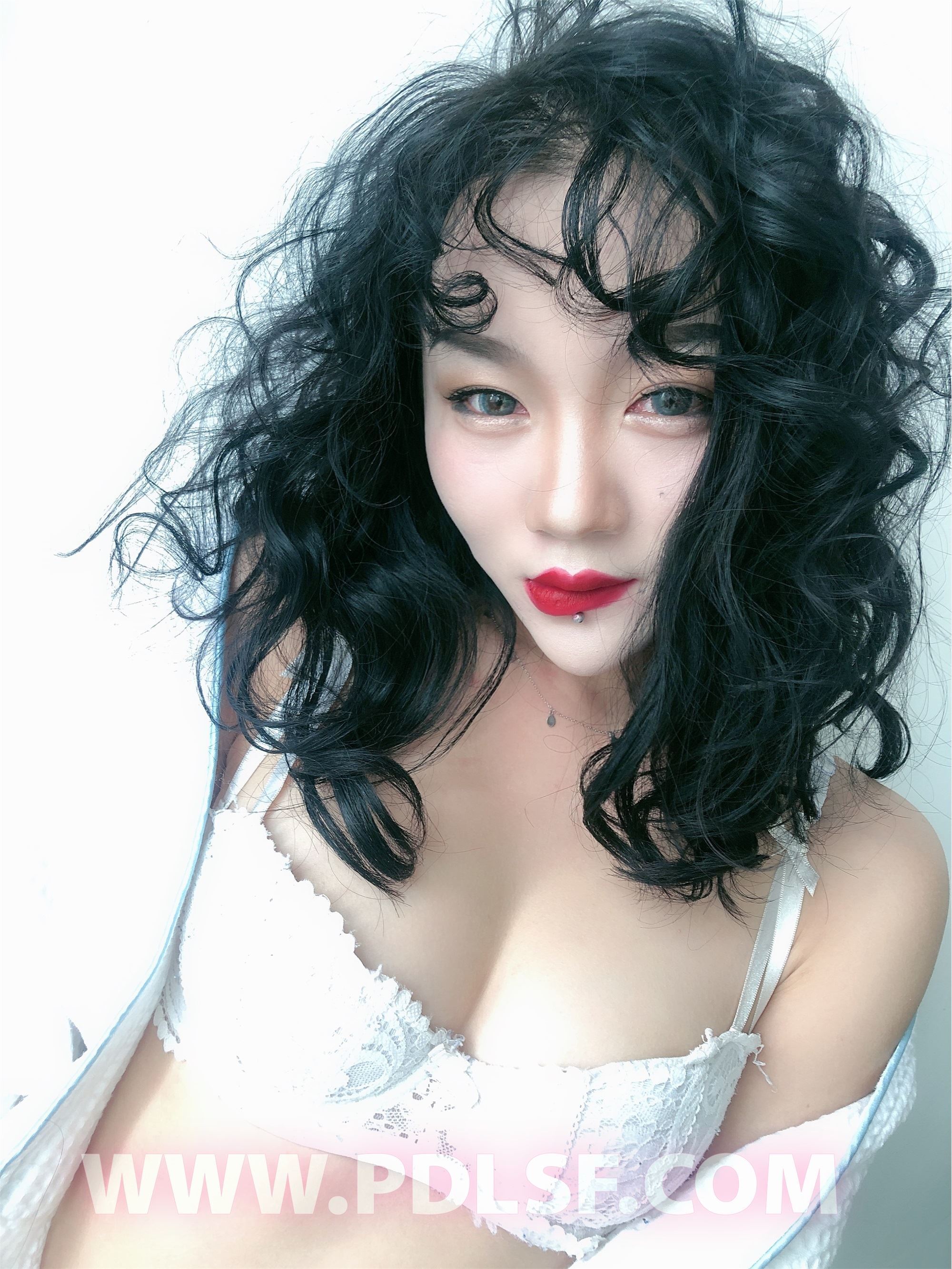 PDL潘多拉 2020.02.03 专辑No.277